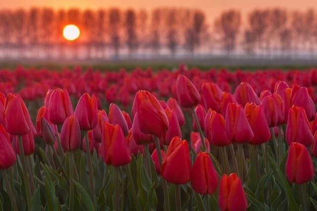 Фото умовне