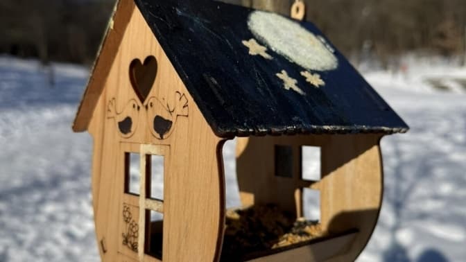 Львів’ян закликають підгодовувати птахів насінням у морози: що класти в годівнички, а що - ні