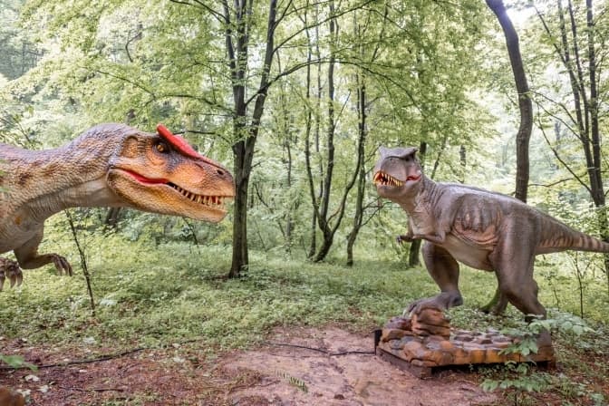 Фото: RossHelen Photographers