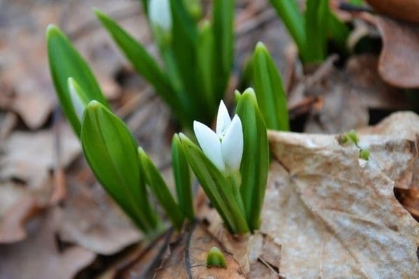 Фото з відкритих джерел