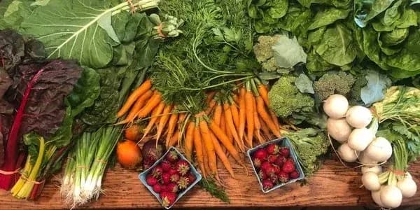 Овочі. Фото: відкриті джерела