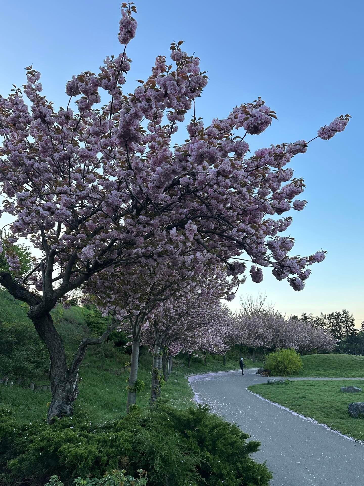 Фото: ksyu.smk/ Threads