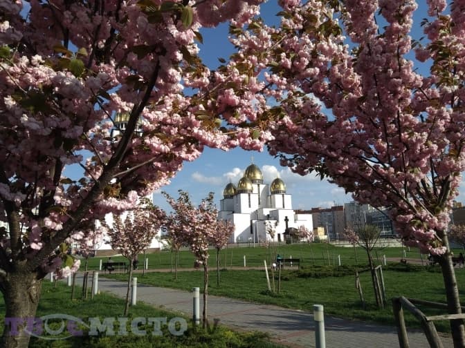 Фото: Тарас Бабенчук