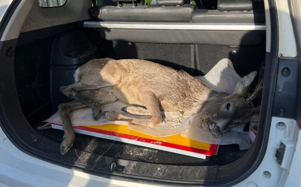 Фото: Офіс агломерації та розвитку громад