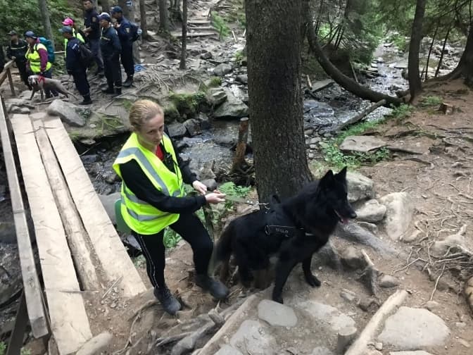 Фото: ДСНС України
