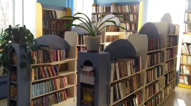 Благодійний фонд відкрив збір на відновлення шкільних бібліотек на Київщині