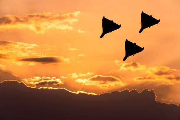 Найбільш небезпечний час у війні називається перемир'ям