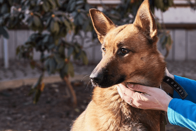 Фото: Ірина Шелест