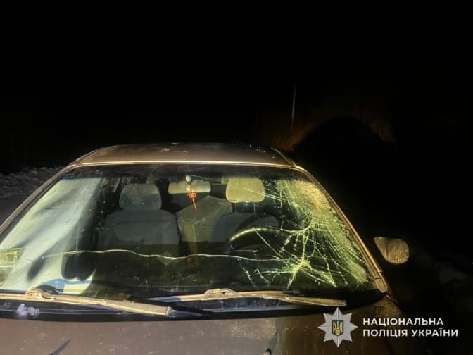 На Львівщині п’яний водій наїхав на двох пішоходів, один із них у лікарні