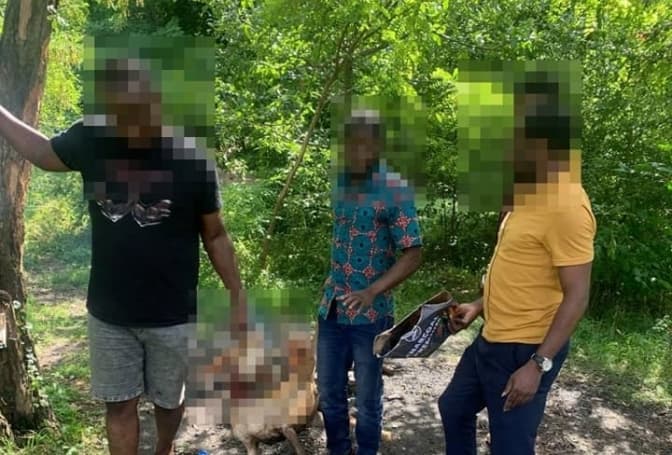 У парку «Знесіння» іноземці зарізали козу і смажили її на вогні