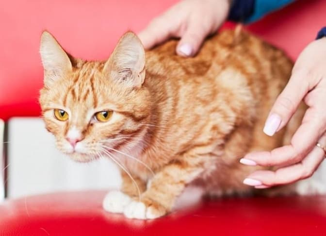 Фото: Ірина Шелест