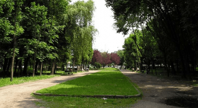 У Львові дослідили Скнилівський парк і з'ясували, що там не так з насадженнями
