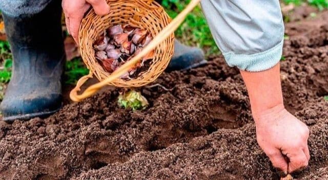 Фото умовне