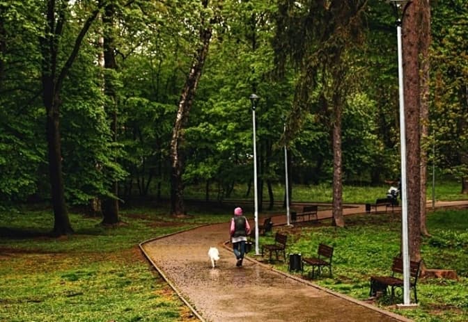 фото умовне