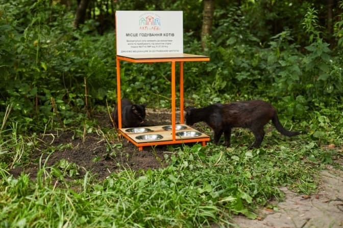 Цього року у Львові встановлять 20 котівничок