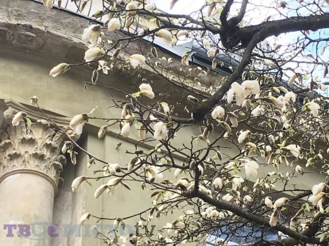 фото: Марія Стахів