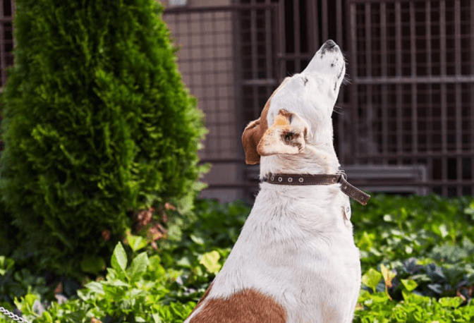 Фото: Ірина Шелест