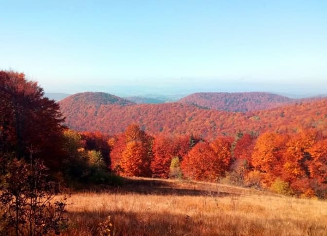 На Львівщині розробили новий туристичний маршрут. Фото