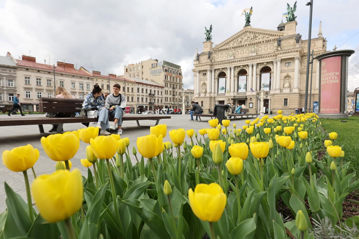 Львів полонили тюльпани / фото ЛМР