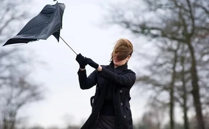 Через негоду на Львівщині знеструмлено десятки сіл і міст