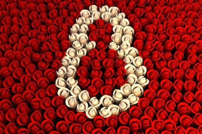 Наступний понеділок для львів'ян буде вихідним