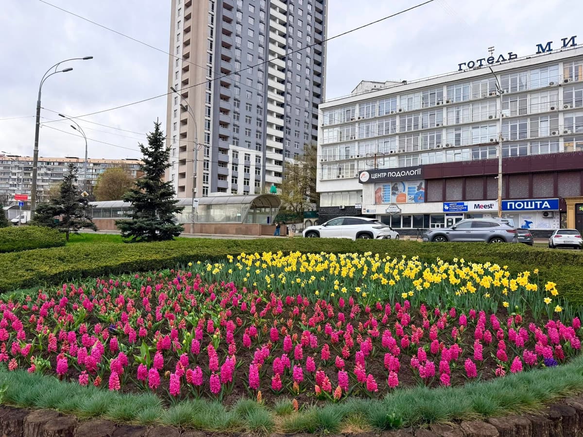 Весняні барви в Голосіївському районі: де у столиці вже квітнуть гіацинти та нарциси