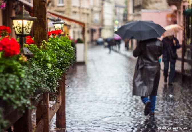 Від 10 до 27 градусів тепла та сильні дощі. Прогноз погоди у Львові на тиждень