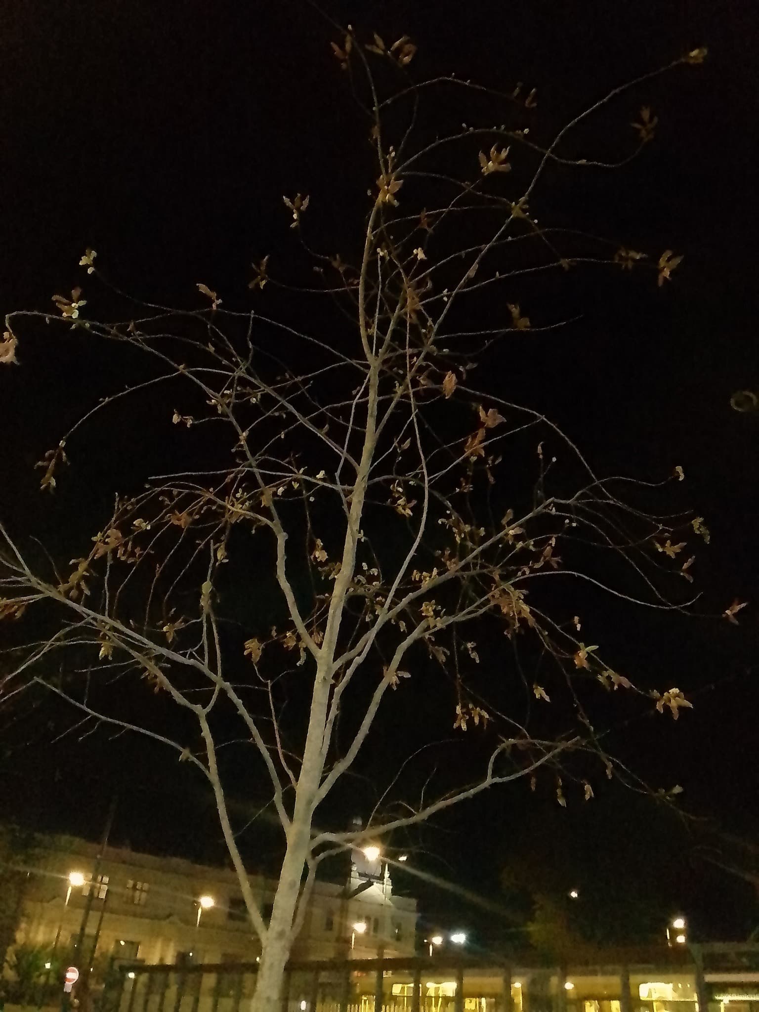 фото: гаряча лінія міста Львова