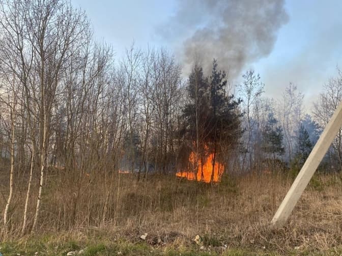 фото: юрій холод