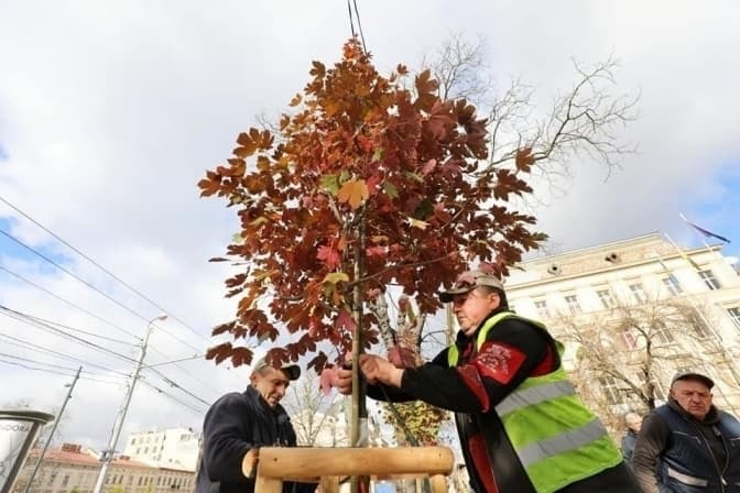 Фото умовне/управління екології ЛМР