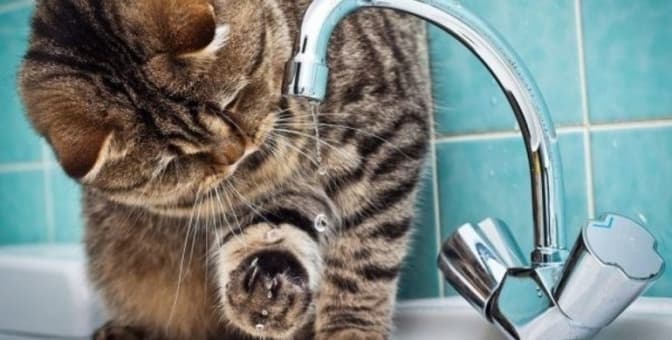 Завтра частина двох районів Львова буде без води. Перелік адрес