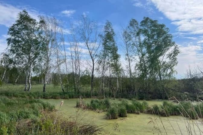 фото: львівська облрада