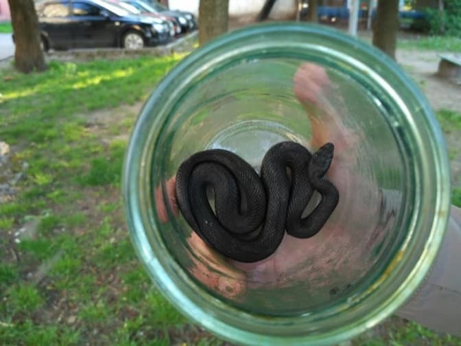 фото: андрій кийко