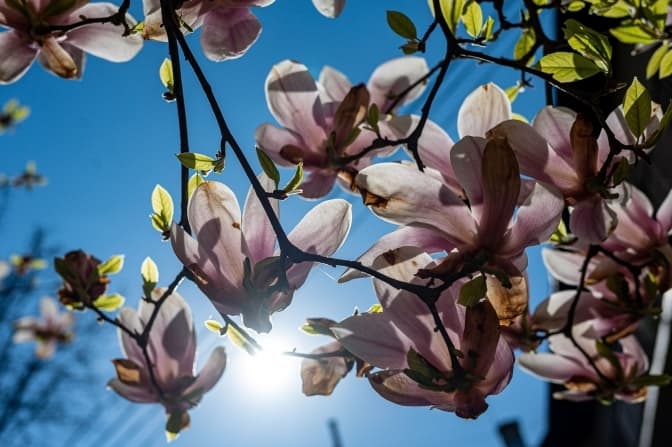 Потепління до +26°. Якою буде погода цього тижня у Львові