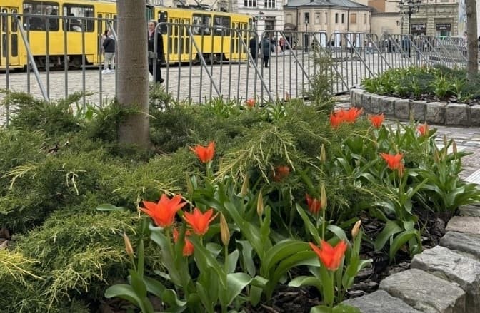 Фото: Любомир ЗУбач