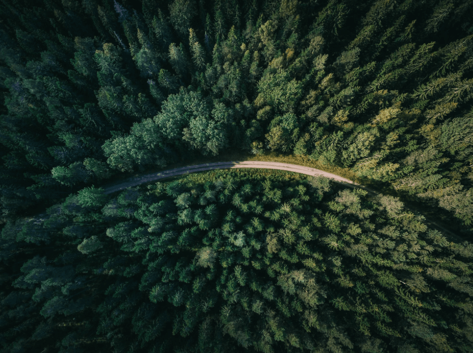 Фото умовне / Unsplash