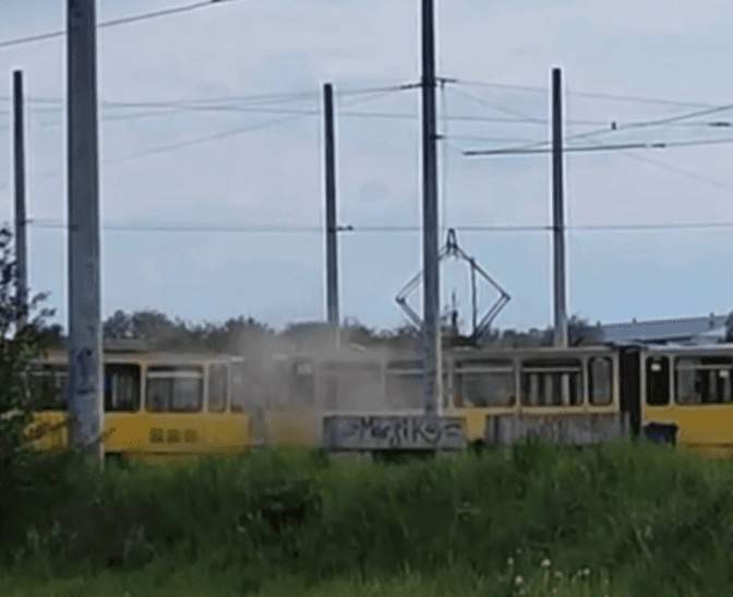 Фото: Львівич