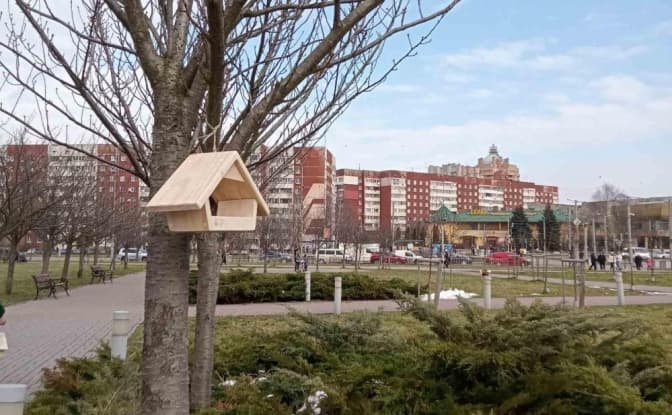 У Львові встановили 60 спеціальних годівничок для пташок