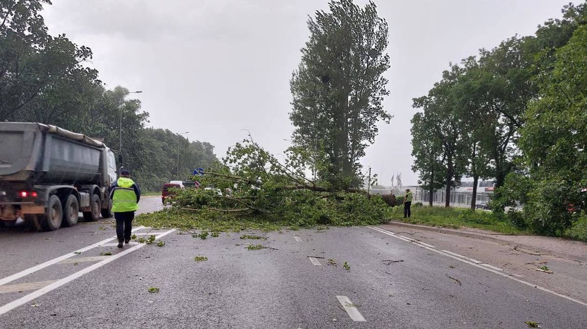 Львів накрила потужна злива та гроза. У місті впало кілька дерев