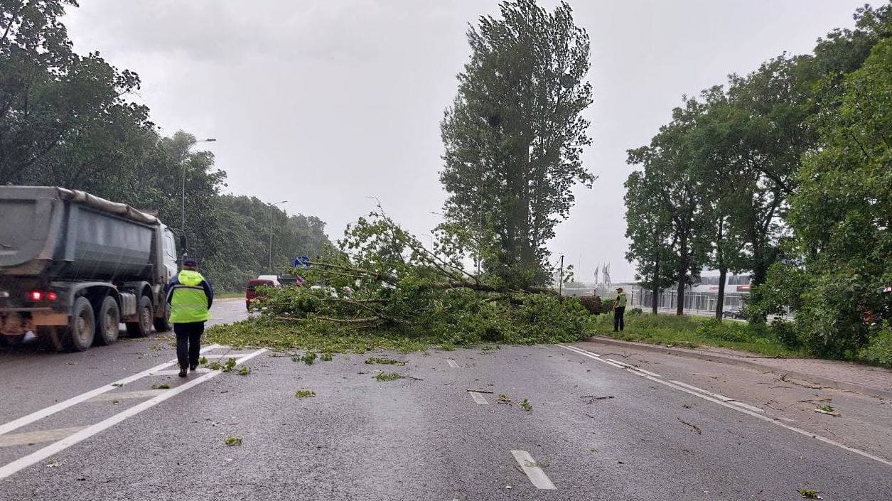 Фото: Патрульна поліція