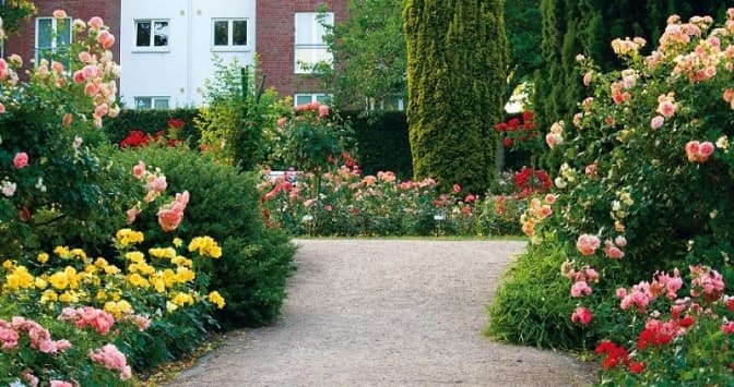 Ілюстративне фото/відкриті джерела