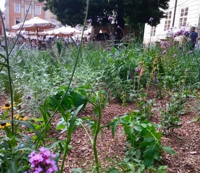 Фото: Олександри Сладкової