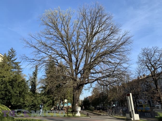 фото: Вікторія Ейсмунт