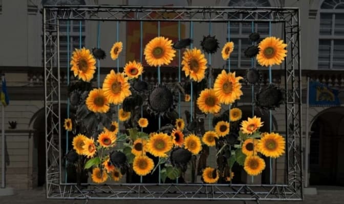 візуалізація лмр