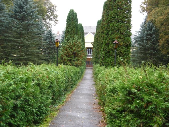 Алея до палацу Дідушицьких. Фото: wikipedia.org