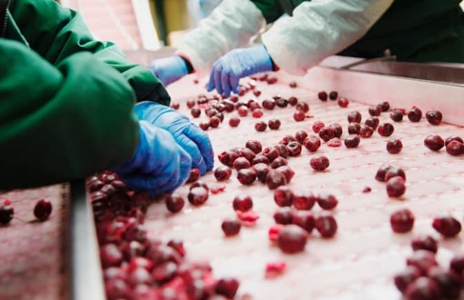 Фото: viche.ck.ua