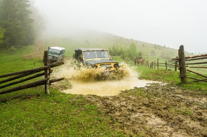Фото: з відкритих джерел
