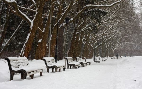 У львівському Парку культури припинили незаконне будівництво