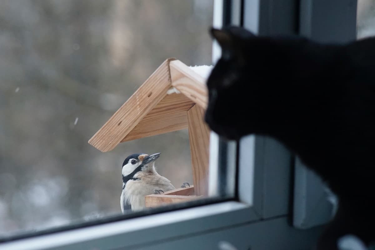 Фото: Владислава Москалець