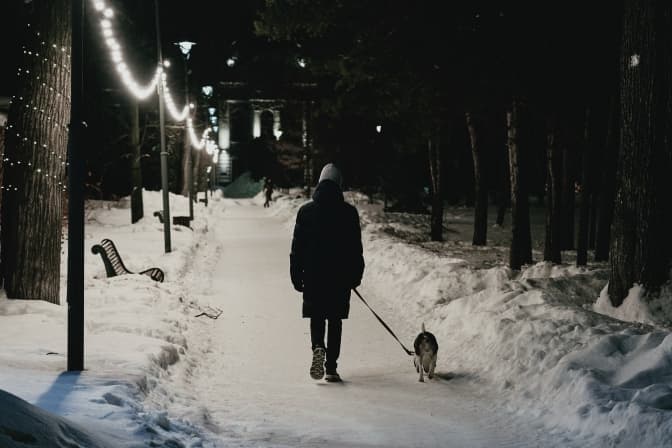 Фото: Maxim Tolchinskiy for unsplash